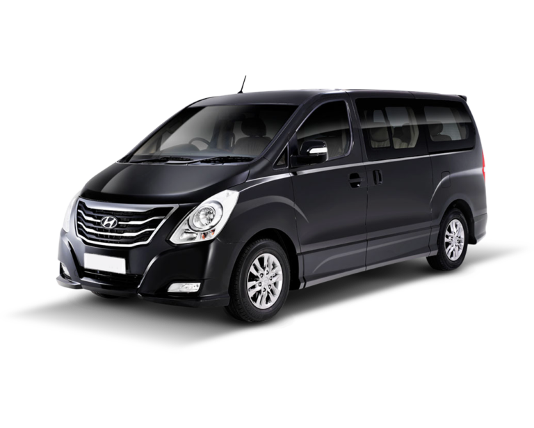 HYUNDAI H 1