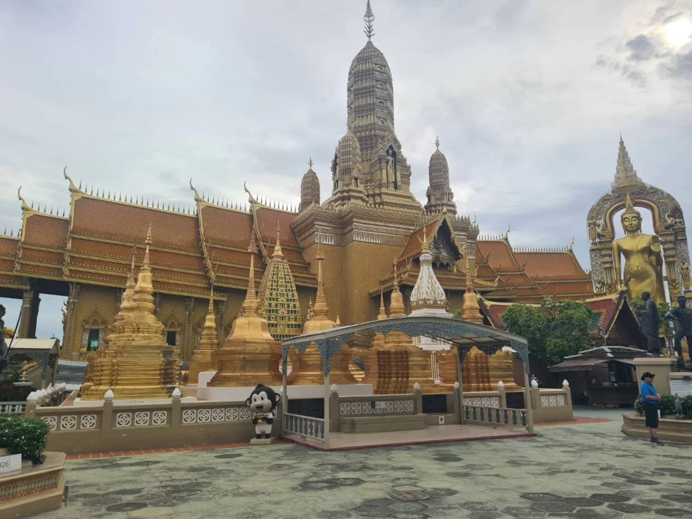 รถตู้นำเที่ยวพร้อมคนขับศีรษะจรเข้ใหญ่